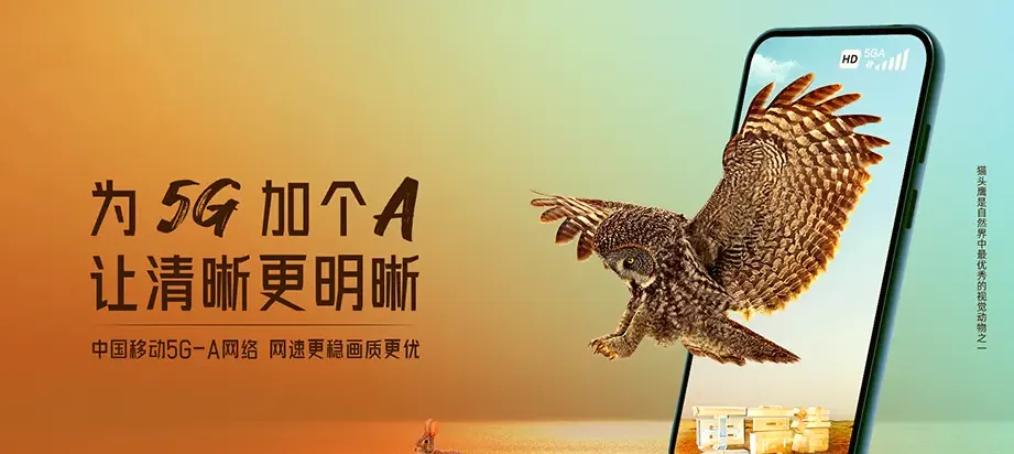 广宗县广宗县核桃园镇 移动宽带