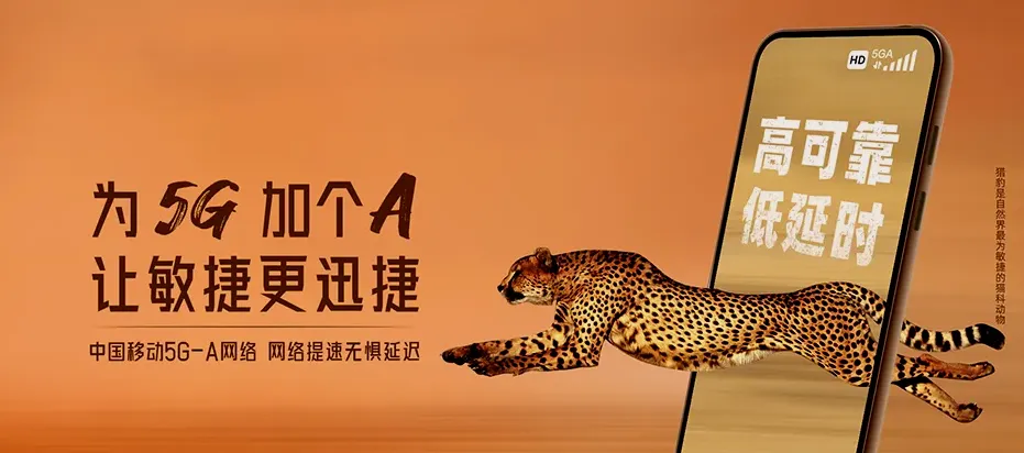 广宗县广宗县冯家寨镇 移动宽带